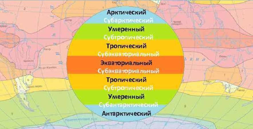 Расставьте подписи на изображении субэкваториальный субтропический субарктический субантарктический