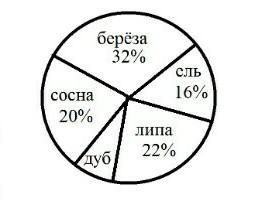 На круговой диаграмме показано распределение деревьев. 10 Процентов на круговой диаграмме. Соотношение дня и ночи 23 сентября круговая диаграмма. Соотношение в парке. На круговой диаграмме показано сколько в парке деревьев определи.