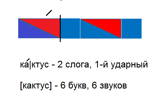 Схема слова кактус