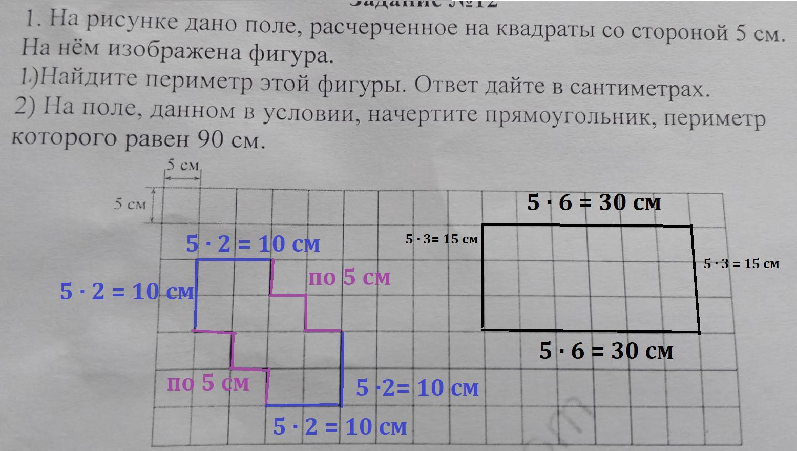 На рисунке дано поле расчерченное на прямоугольники со сторонами 2 и 5 см