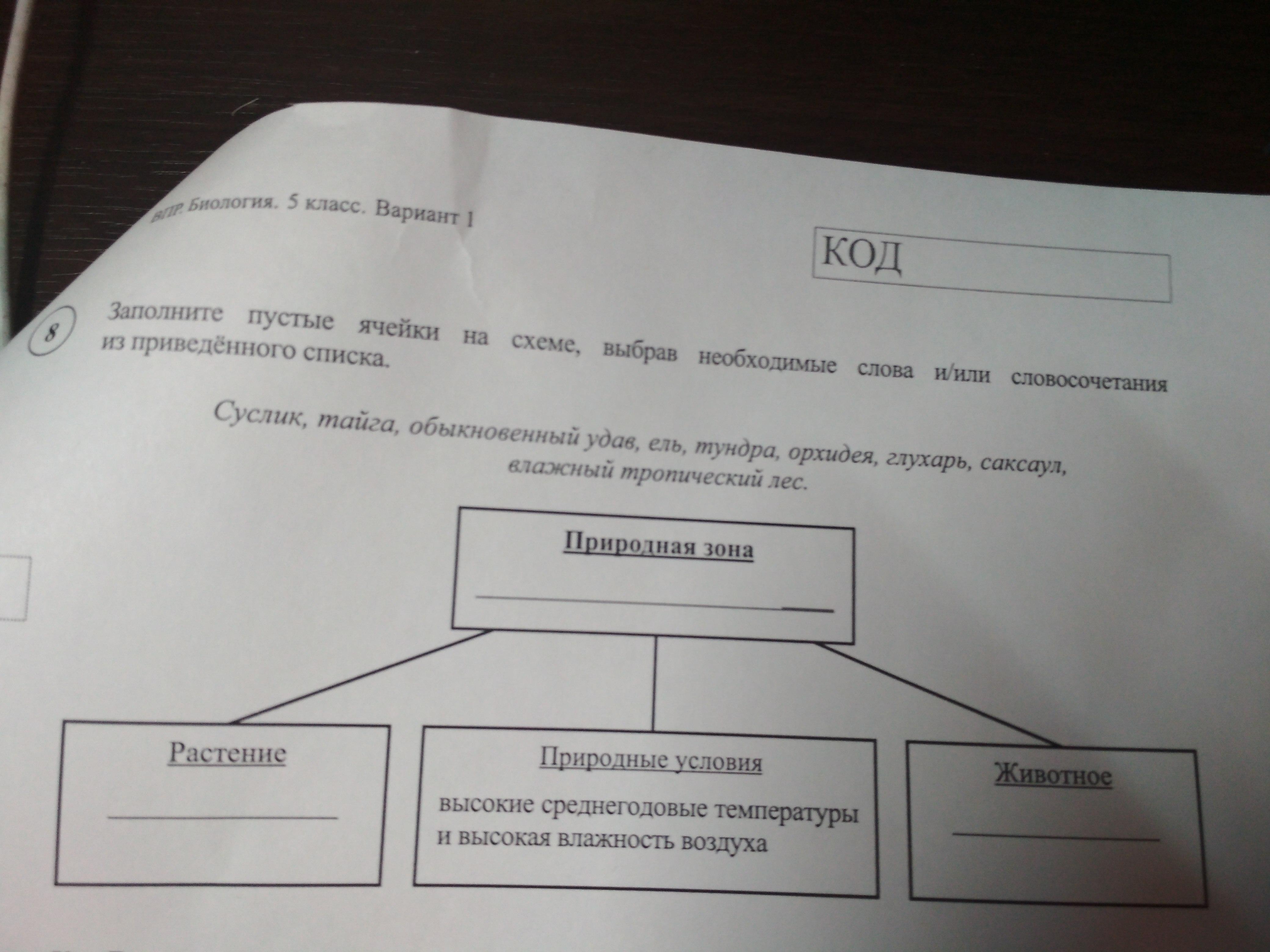 Заполните пустые ячейки на схеме выбрав слова и или словосочетания из приведенного списка тайга