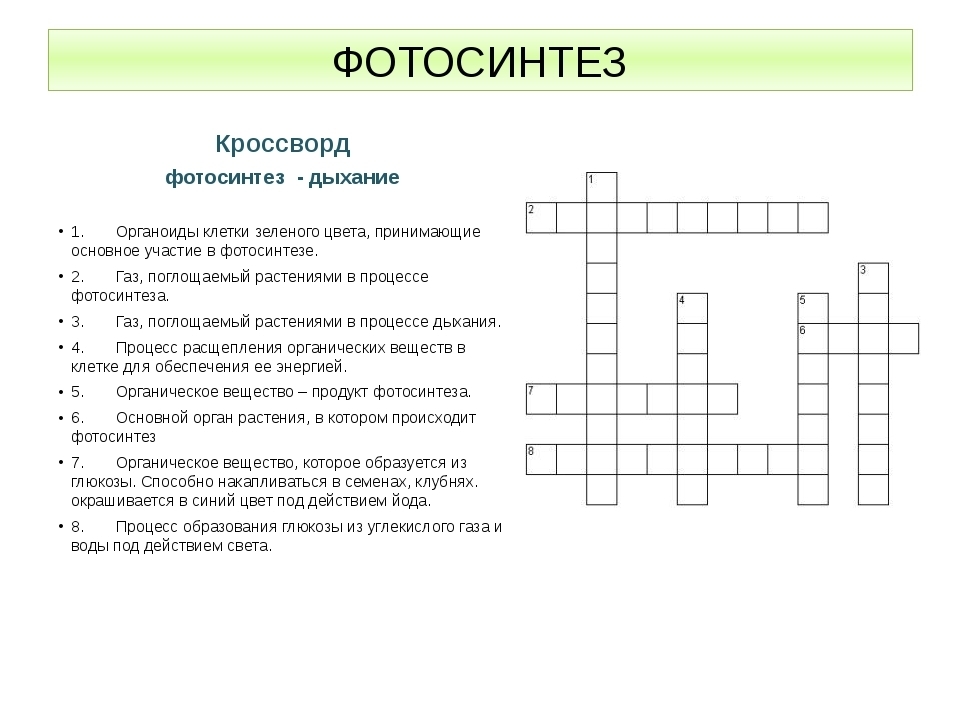 Вопросы по биологии 1 класс. Кроссворд по биологии 6 класс на тему фотосинтез с ответами. Кроссворд по биологии на тему фотосинтез вопросы и ответ. Кроссворд по биологии 6 класс на тему фотосинтез и дыхание растений. Кроссворд на тему фотосинтез 6 класс с ответами.