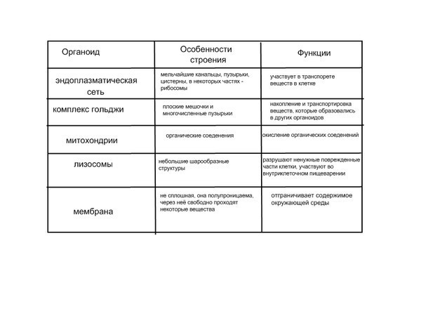 Органоиды клетки и их функции презентация 9 класс пономарева