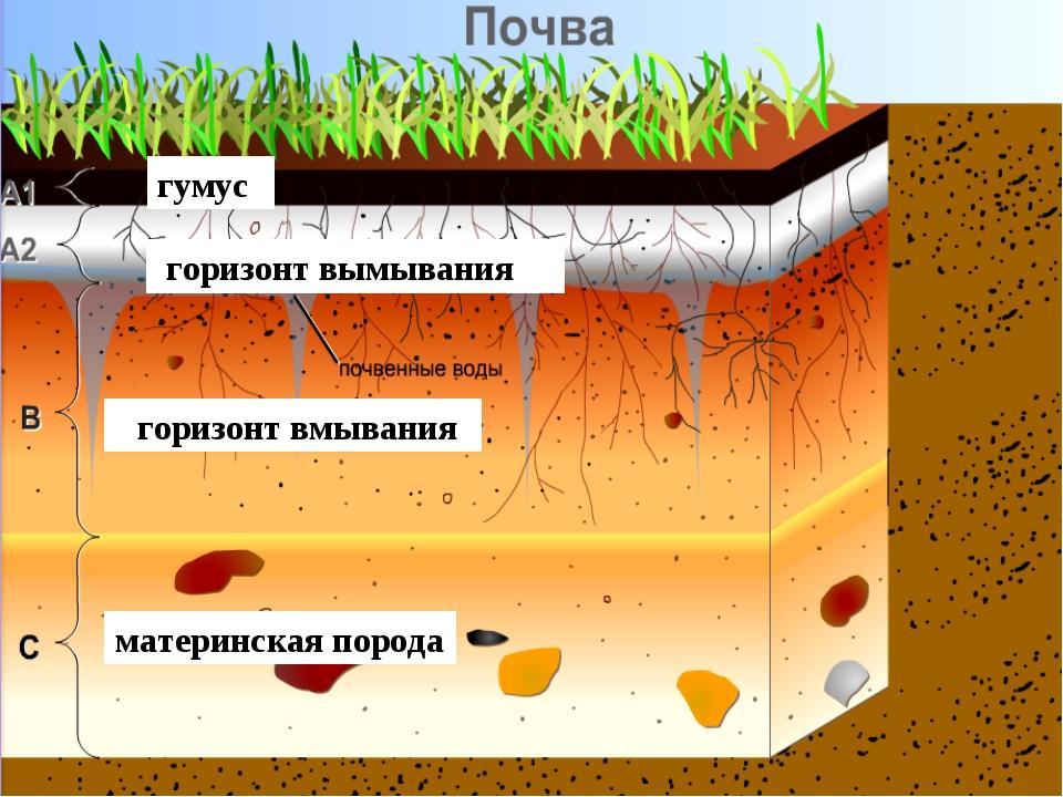 Слои почвы картинка